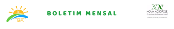 informe mensal